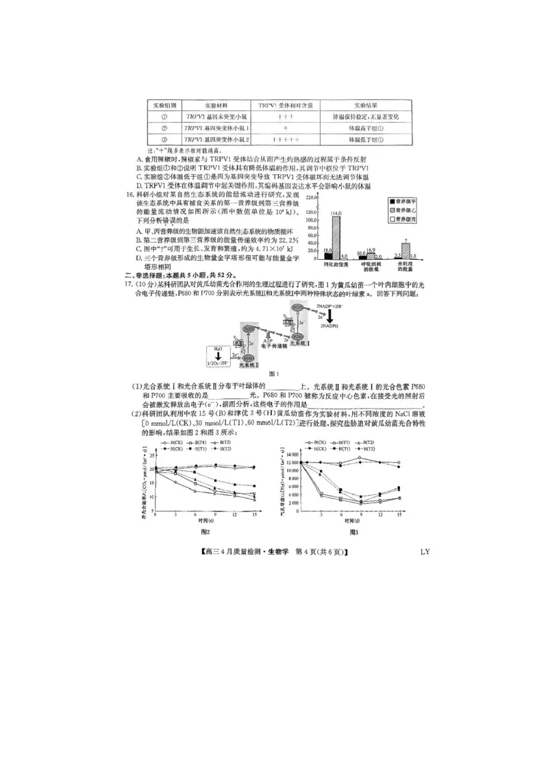 生物试题_2024-2025高三（6-6月题库）_2025年04月试卷_0429九师联盟2025届高三4月27质量监测（全科）_九师联盟2025届高三4月27质量监测生物试题（含答案）