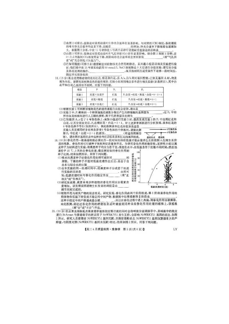 生物试题_2024-2025高三（6-6月题库）_2025年04月试卷_0429九师联盟2025届高三4月27质量监测（全科）_九师联盟2025届高三4月27质量监测生物试题（含答案）