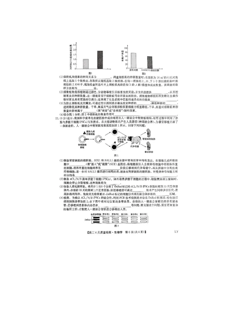 生物试题_2024-2025高三（6-6月题库）_2025年04月试卷_0429九师联盟2025届高三4月27质量监测（全科）_九师联盟2025届高三4月27质量监测生物试题（含答案）