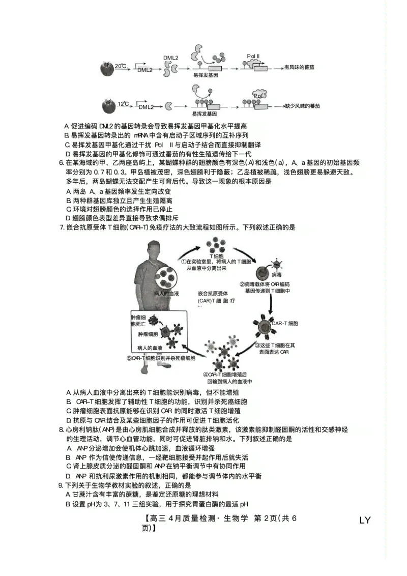 生物试题_2024-2025高三（6-6月题库）_2025年04月试卷_0429九师联盟2025届高三4月27质量监测（全科）_九师联盟2025届高三4月27质量监测生物试题（含答案）