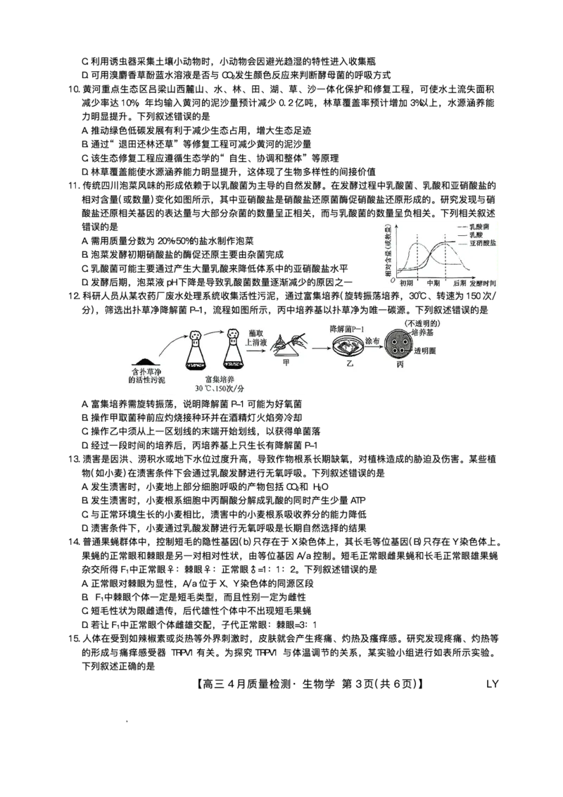 生物试题_2024-2025高三（6-6月题库）_2025年04月试卷_0429九师联盟2025届高三4月27质量监测（全科）_九师联盟2025届高三4月27质量监测生物试题（含答案）