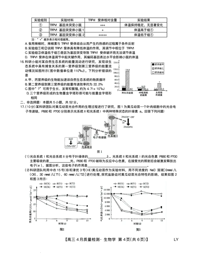 生物试题_2024-2025高三（6-6月题库）_2025年04月试卷_0429九师联盟2025届高三4月27质量监测（全科）_九师联盟2025届高三4月27质量监测生物试题（含答案）