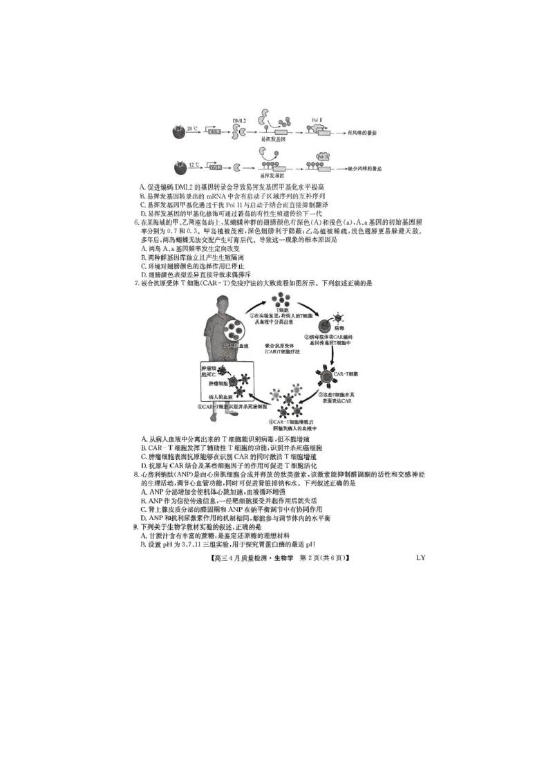 生物试题_2024-2025高三（6-6月题库）_2025年04月试卷_0429九师联盟2025届高三4月27质量监测（全科）_九师联盟2025届高三4月27质量监测生物试题（含答案）