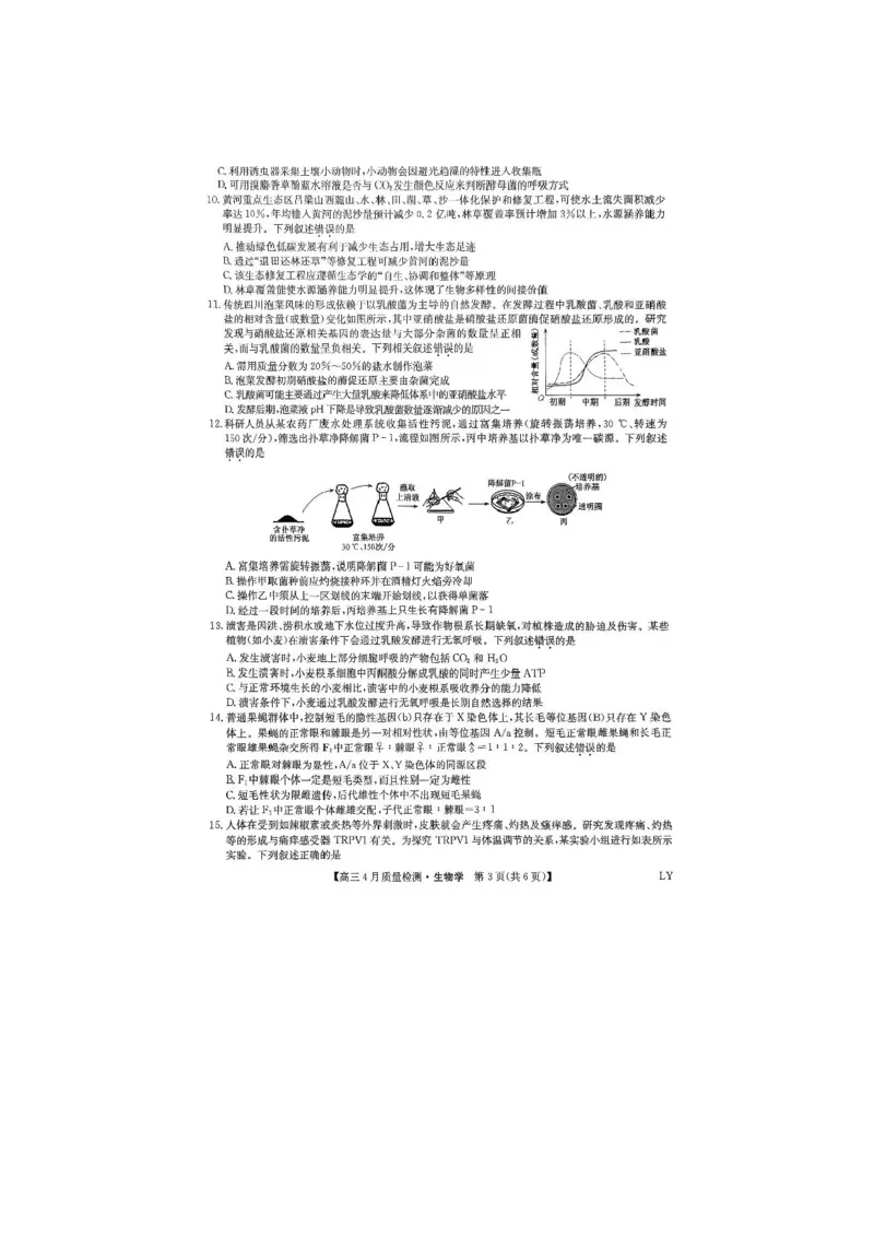 生物试题_2024-2025高三（6-6月题库）_2025年04月试卷_0429九师联盟2025届高三4月27质量监测（全科）_九师联盟2025届高三4月27质量监测生物试题（含答案）