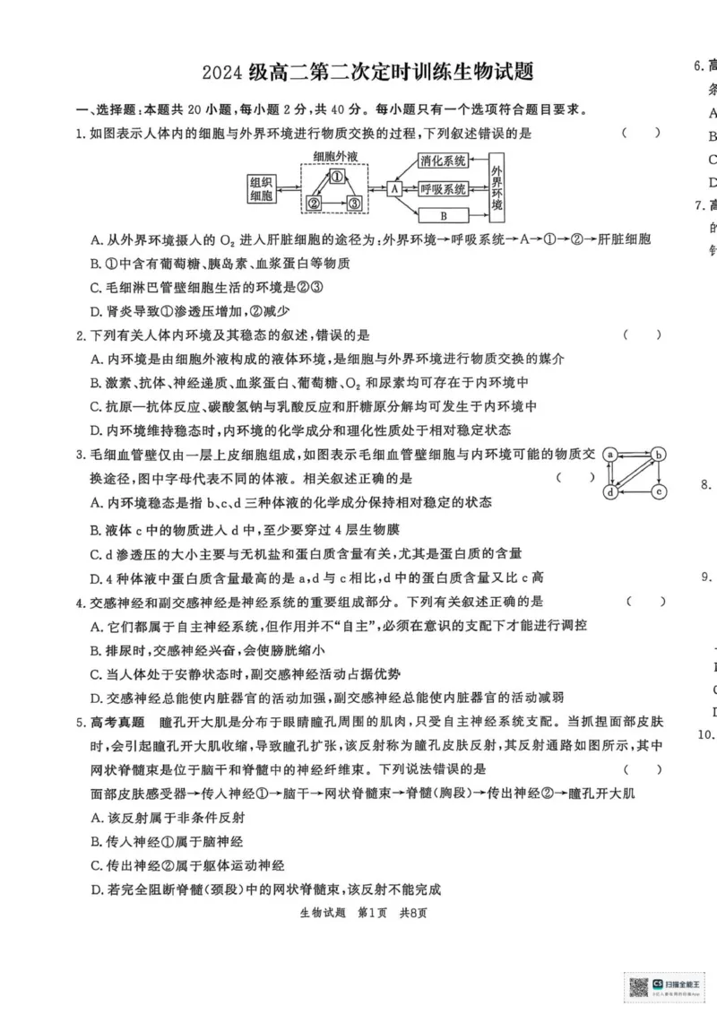 山东省菏泽市鄄城县第一中学2025-2026学年高二上学期10月月考生物试题（扫描版，有解析）_2025年10月高二试卷_251029山东省菏泽市鄄城县第一中学2025-2026学年高二上学期10月月考（全）