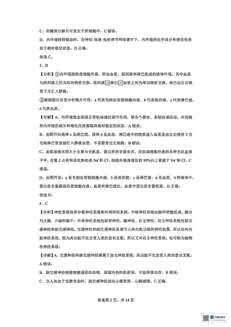 山东省菏泽市鄄城县第一中学2025-2026学年高二上学期10月月考生物试题（扫描版，有解析）_2025年10月高二试卷_251029山东省菏泽市鄄城县第一中学2025-2026学年高二上学期10月月考（全）