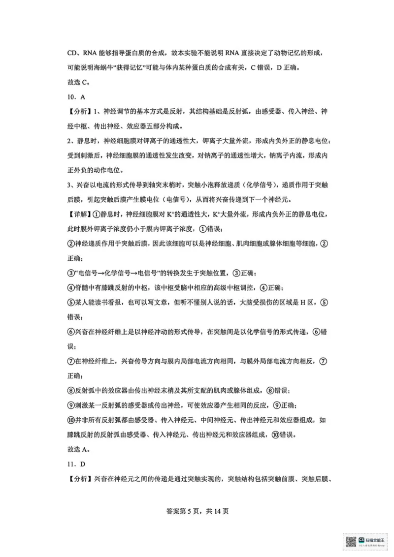 山东省菏泽市鄄城县第一中学2025-2026学年高二上学期10月月考生物试题（扫描版，有解析）_2025年10月高二试卷_251029山东省菏泽市鄄城县第一中学2025-2026学年高二上学期10月月考（全）