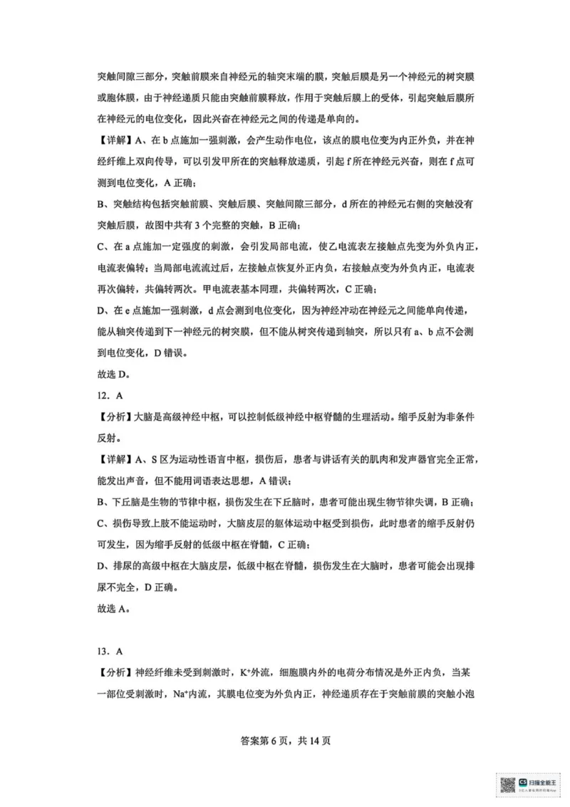 山东省菏泽市鄄城县第一中学2025-2026学年高二上学期10月月考生物试题（扫描版，有解析）_2025年10月高二试卷_251029山东省菏泽市鄄城县第一中学2025-2026学年高二上学期10月月考（全）