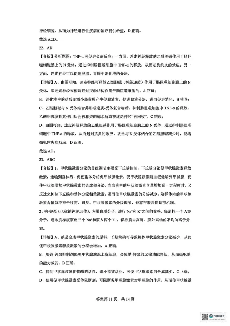 山东省菏泽市鄄城县第一中学2025-2026学年高二上学期10月月考生物试题（扫描版，有解析）_2025年10月高二试卷_251029山东省菏泽市鄄城县第一中学2025-2026学年高二上学期10月月考（全）