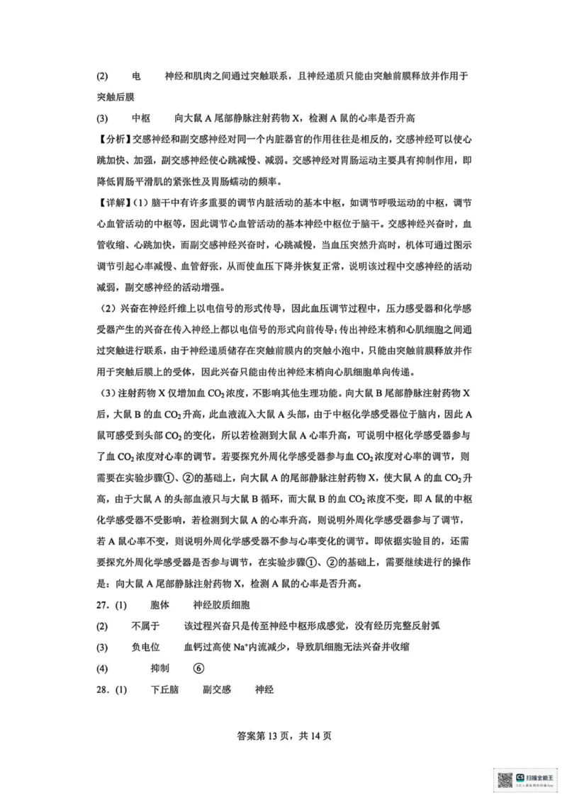 山东省菏泽市鄄城县第一中学2025-2026学年高二上学期10月月考生物试题（扫描版，有解析）_2025年10月高二试卷_251029山东省菏泽市鄄城县第一中学2025-2026学年高二上学期10月月考（全）