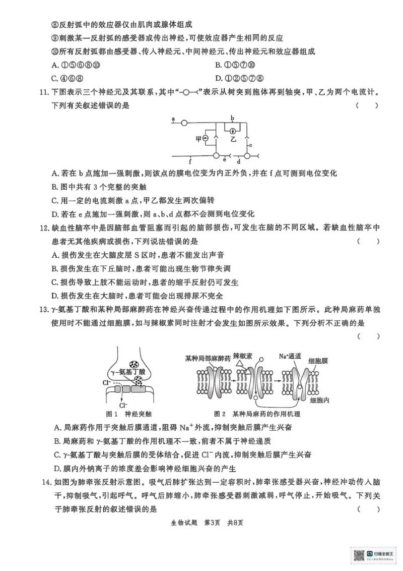山东省菏泽市鄄城县第一中学2025-2026学年高二上学期10月月考生物试题（扫描版，有解析）_2025年10月高二试卷_251029山东省菏泽市鄄城县第一中学2025-2026学年高二上学期10月月考（全）