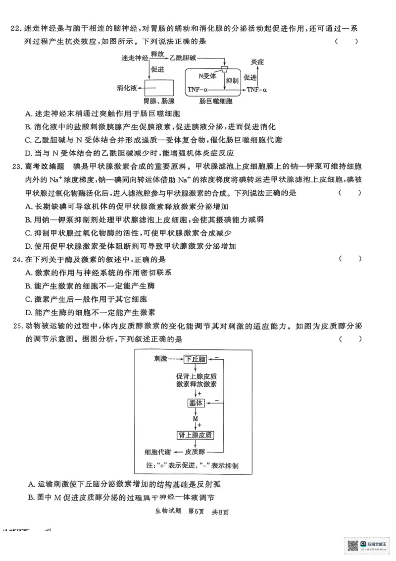 山东省菏泽市鄄城县第一中学2025-2026学年高二上学期10月月考生物试题（扫描版，有解析）_2025年10月高二试卷_251029山东省菏泽市鄄城县第一中学2025-2026学年高二上学期10月月考（全）