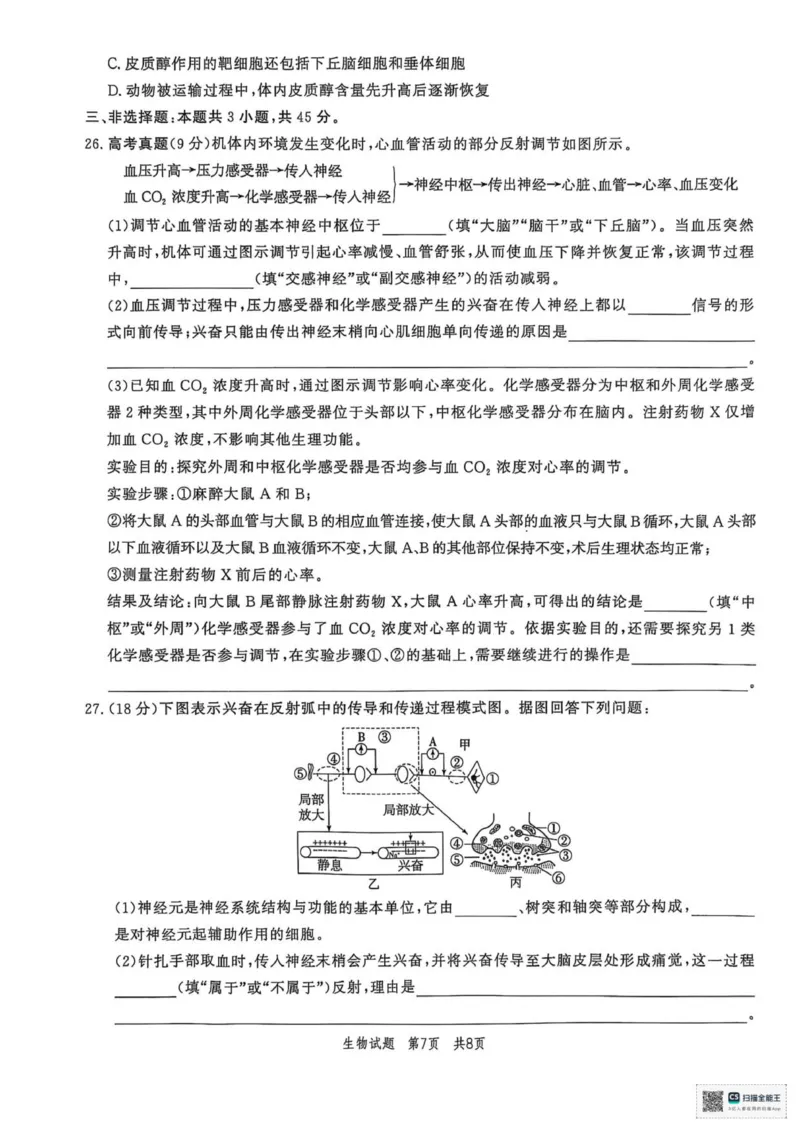 山东省菏泽市鄄城县第一中学2025-2026学年高二上学期10月月考生物试题（扫描版，有解析）_2025年10月高二试卷_251029山东省菏泽市鄄城县第一中学2025-2026学年高二上学期10月月考（全）