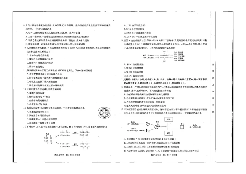 生物试题_2024-2025高二（7-7月题库）_2024年10月试卷_1027辽宁省金太阳2024-2025学年高二10月联考