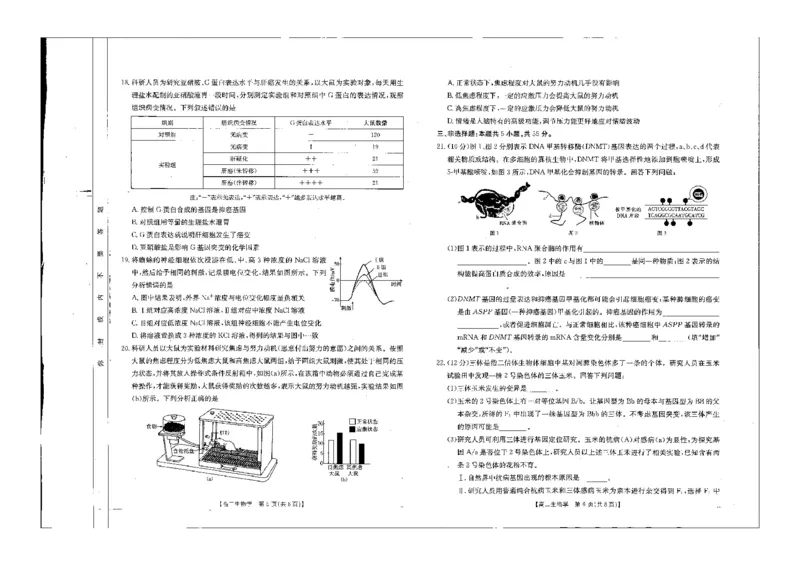 生物试题_2024-2025高二（7-7月题库）_2024年10月试卷_1027辽宁省金太阳2024-2025学年高二10月联考