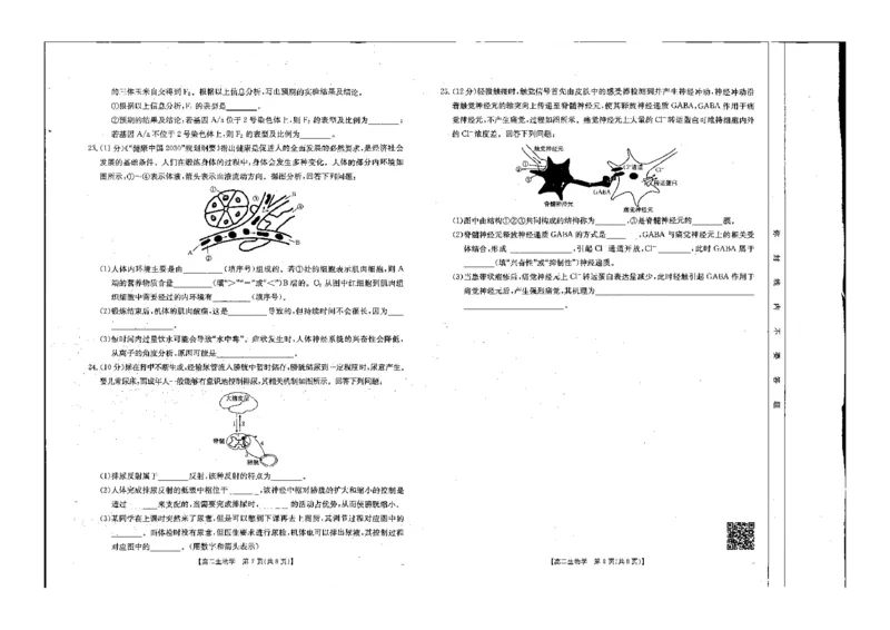 生物试题_2024-2025高二（7-7月题库）_2024年10月试卷_1027辽宁省金太阳2024-2025学年高二10月联考
