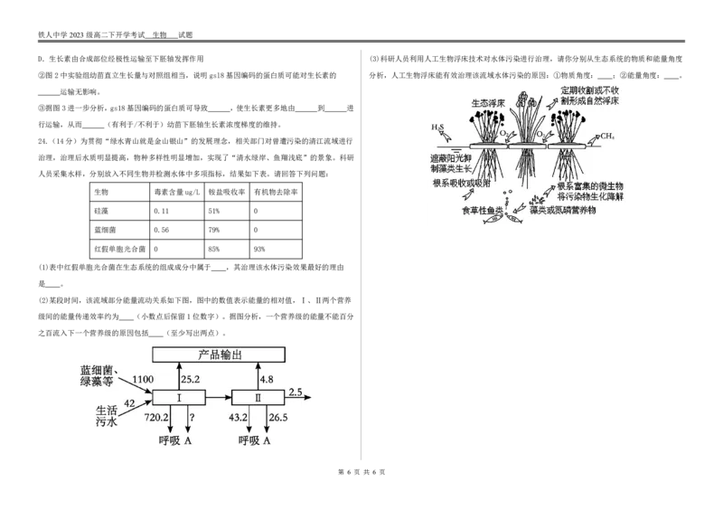 生物试题开学考试_2024-2025高二（7-7月题库）_2025年03月试卷_0316黑龙江省大庆铁人中学2024-2025学年高二下学期开学考试