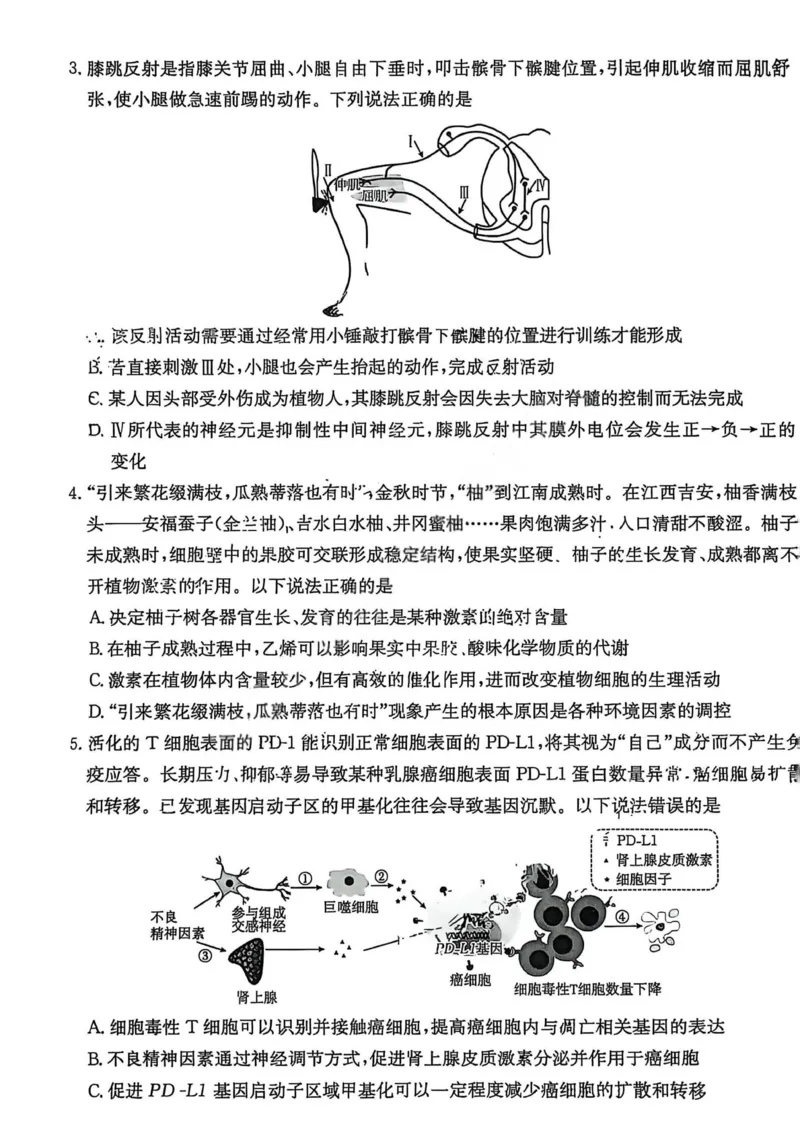 生物试卷2025年&ldquo;三新&rdquo;协同教研共同体高二联考_251221江西省三新协同教研共同体2025&mdash;2026学年高二上学期12月联考（全）