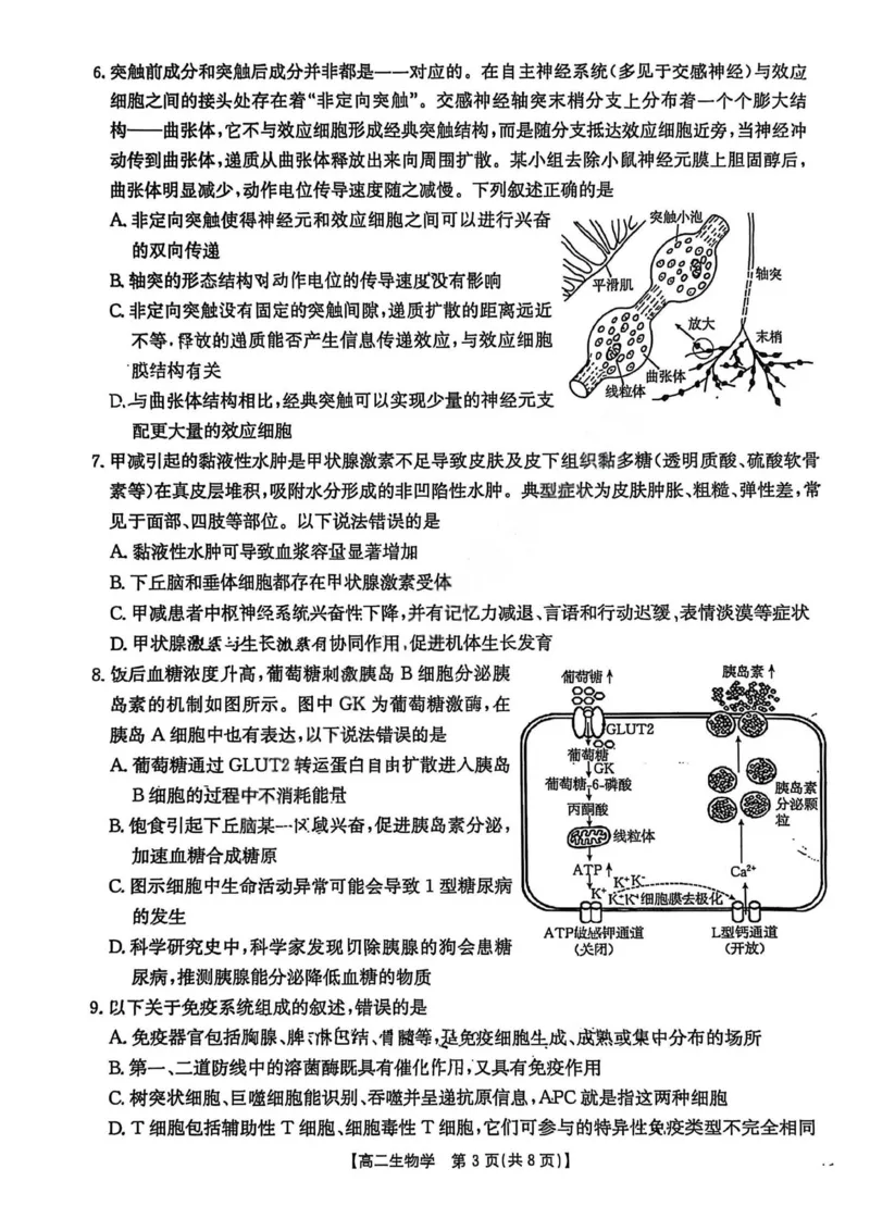 生物试卷2025年&ldquo;三新&rdquo;协同教研共同体高二联考_251221江西省三新协同教研共同体2025&mdash;2026学年高二上学期12月联考（全）