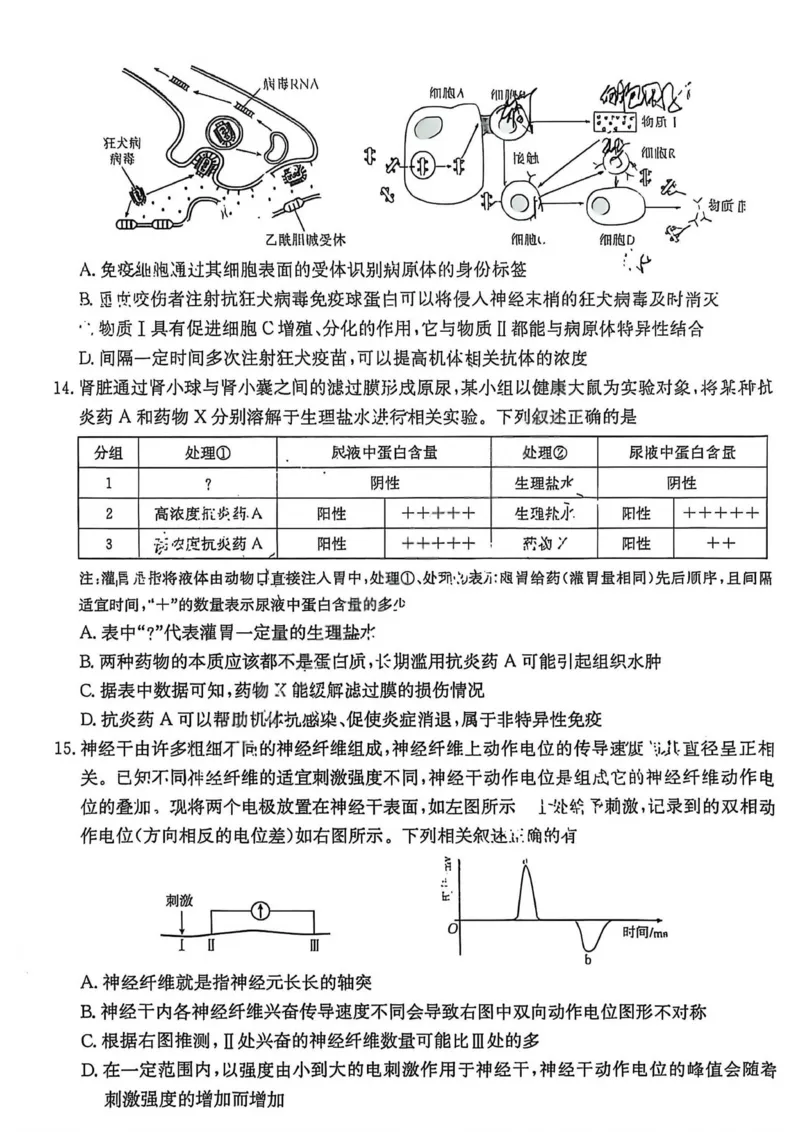 生物试卷2025年&ldquo;三新&rdquo;协同教研共同体高二联考_251221江西省三新协同教研共同体2025&mdash;2026学年高二上学期12月联考（全）