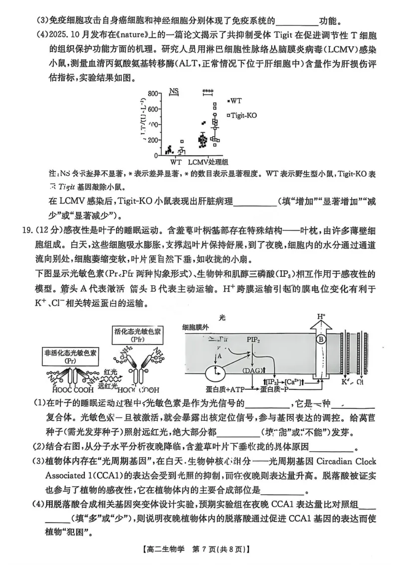 生物试卷2025年&ldquo;三新&rdquo;协同教研共同体高二联考_251221江西省三新协同教研共同体2025&mdash;2026学年高二上学期12月联考（全）