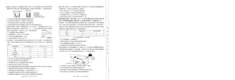 生物-河南省金太阳2024-2025学年高三年级上学期开学联考_2024-2025高三（6-6月题库）_2024年08月试卷_0811河南省金太阳2024-2025学年高三年级上学期开学联考