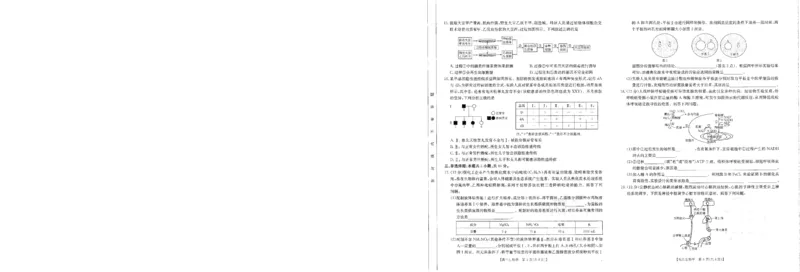 生物-河南省金太阳2024-2025学年高三年级上学期开学联考_2024-2025高三（6-6月题库）_2024年08月试卷_0811河南省金太阳2024-2025学年高三年级上学期开学联考