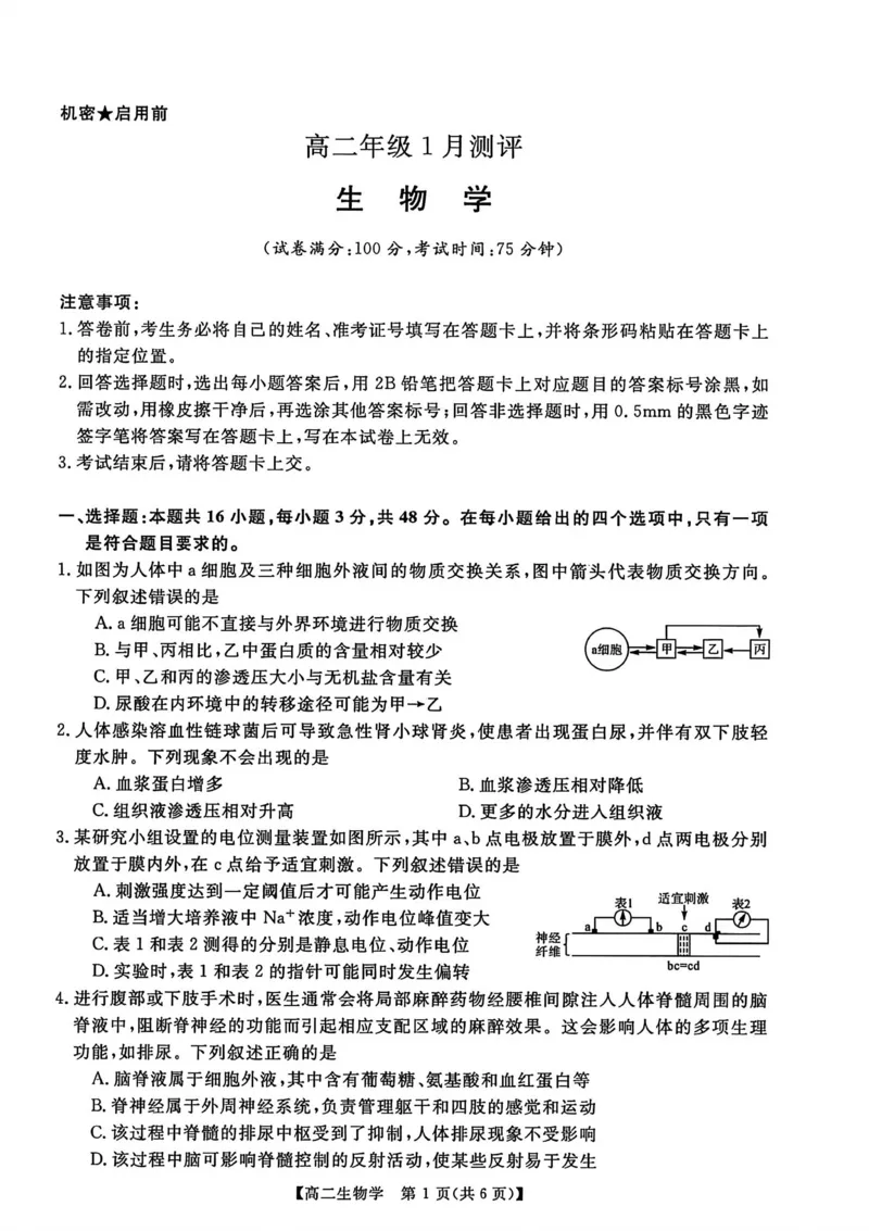 生物试卷_2024-2025高二（7-7月题库）_2026年1月高二_260123河南新未来联考2025-2026学年高二年级1月测评（全）