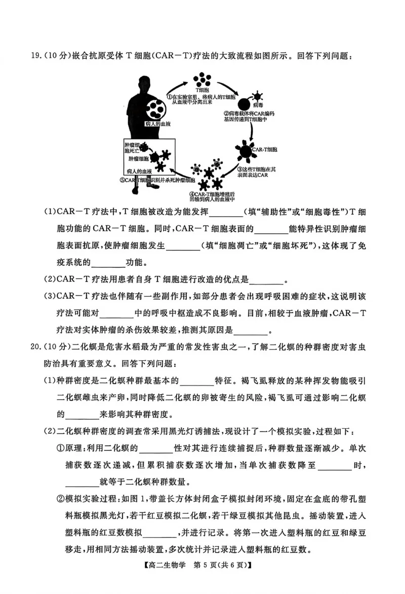 生物试卷_2024-2025高二（7-7月题库）_2026年1月高二_260123河南新未来联考2025-2026学年高二年级1月测评（全）