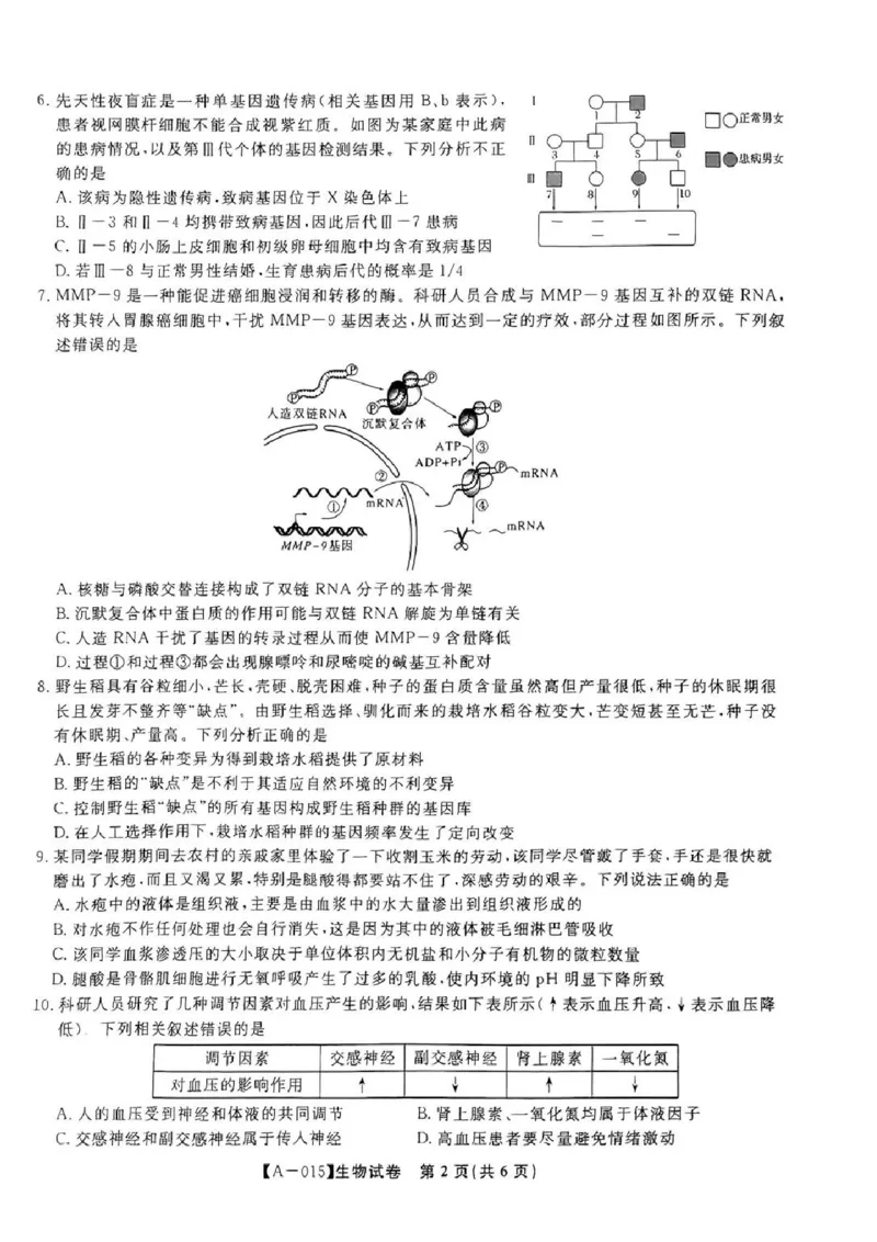 生物-2025届安徽省金榜&皖江名校联盟高三开学联考（A025）_2024-2025高三（6-6月题库）_2024年09月试卷_09052025届安徽省金榜&皖江名校联盟高三开学联考