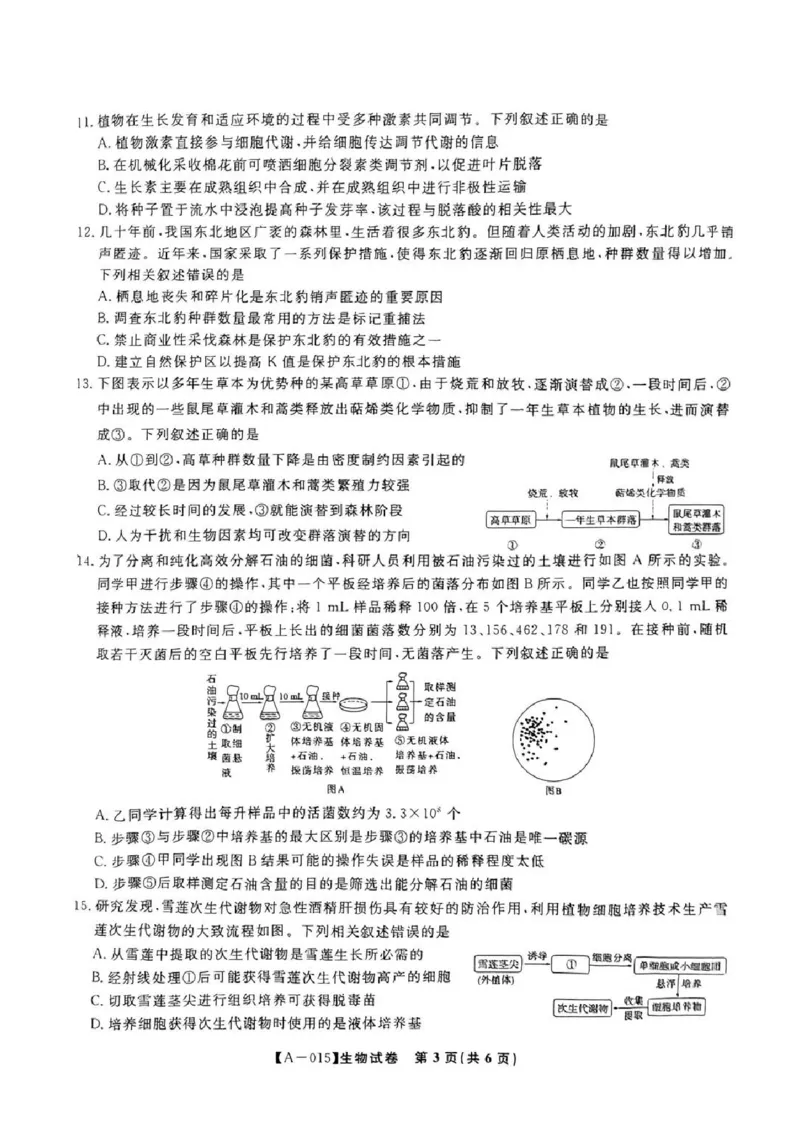 生物-2025届安徽省金榜&皖江名校联盟高三开学联考（A025）_2024-2025高三（6-6月题库）_2024年09月试卷_09052025届安徽省金榜&皖江名校联盟高三开学联考