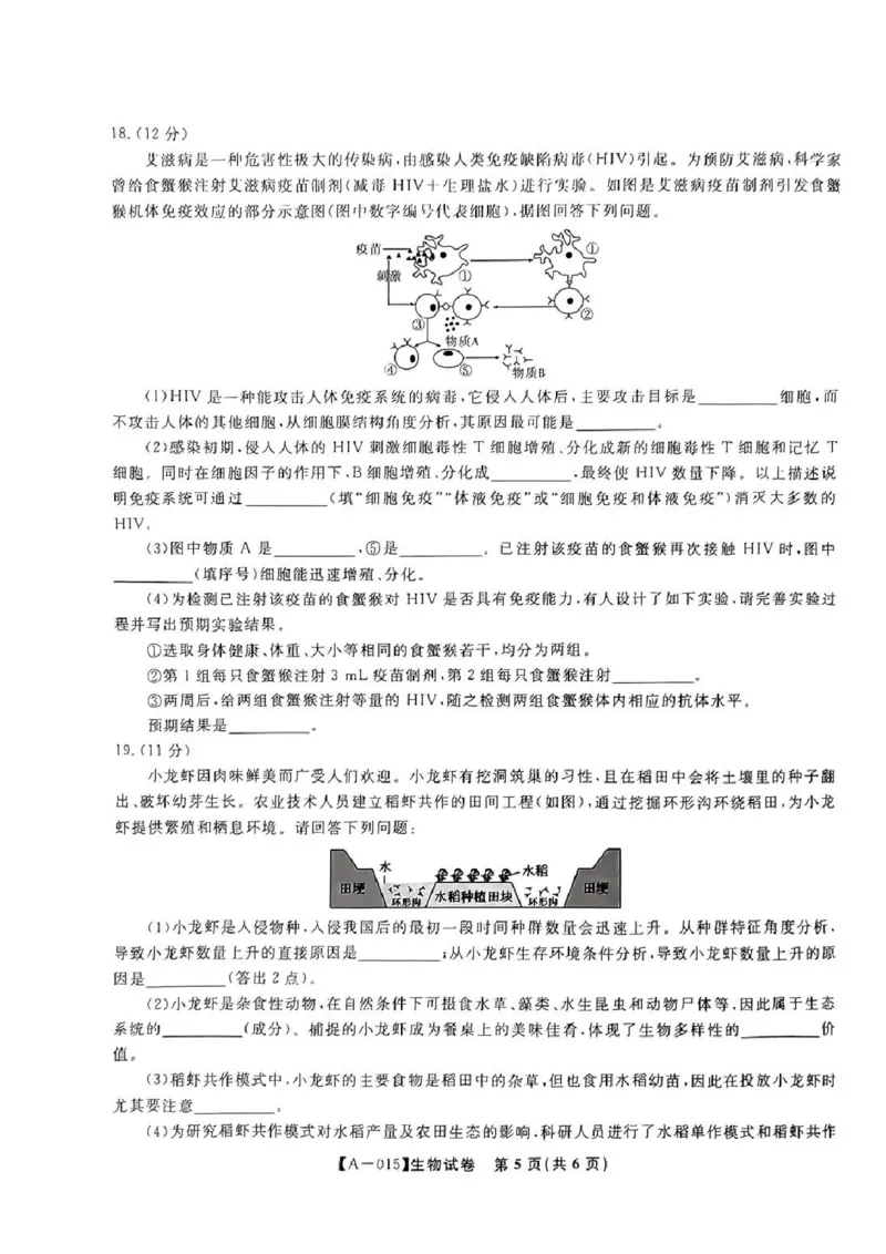 生物-2025届安徽省金榜&皖江名校联盟高三开学联考（A025）_2024-2025高三（6-6月题库）_2024年09月试卷_09052025届安徽省金榜&皖江名校联盟高三开学联考