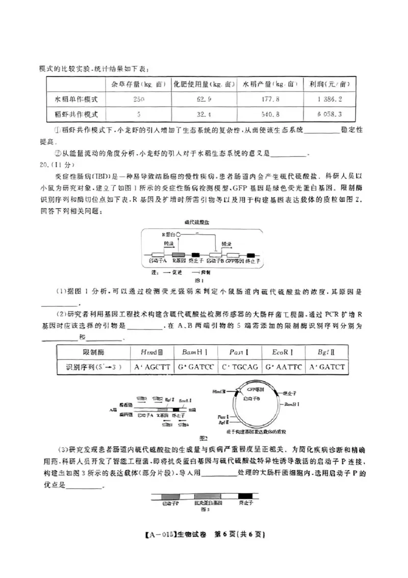 生物-2025届安徽省金榜&皖江名校联盟高三开学联考（A025）_2024-2025高三（6-6月题库）_2024年09月试卷_09052025届安徽省金榜&皖江名校联盟高三开学联考