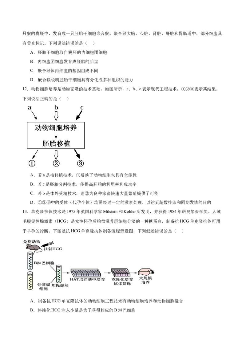 重庆市七校联考2024-2025学年高二下学期4月期中考试生物Word版含答案_2024-2025高二（7-7月题库）_2025年05月试卷_0522重庆市七校联考2024-2025学年高二下学期4月期中考试