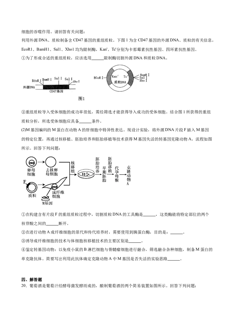 重庆市七校联考2024-2025学年高二下学期4月期中考试生物Word版含答案_2024-2025高二（7-7月题库）_2025年05月试卷_0522重庆市七校联考2024-2025学年高二下学期4月期中考试