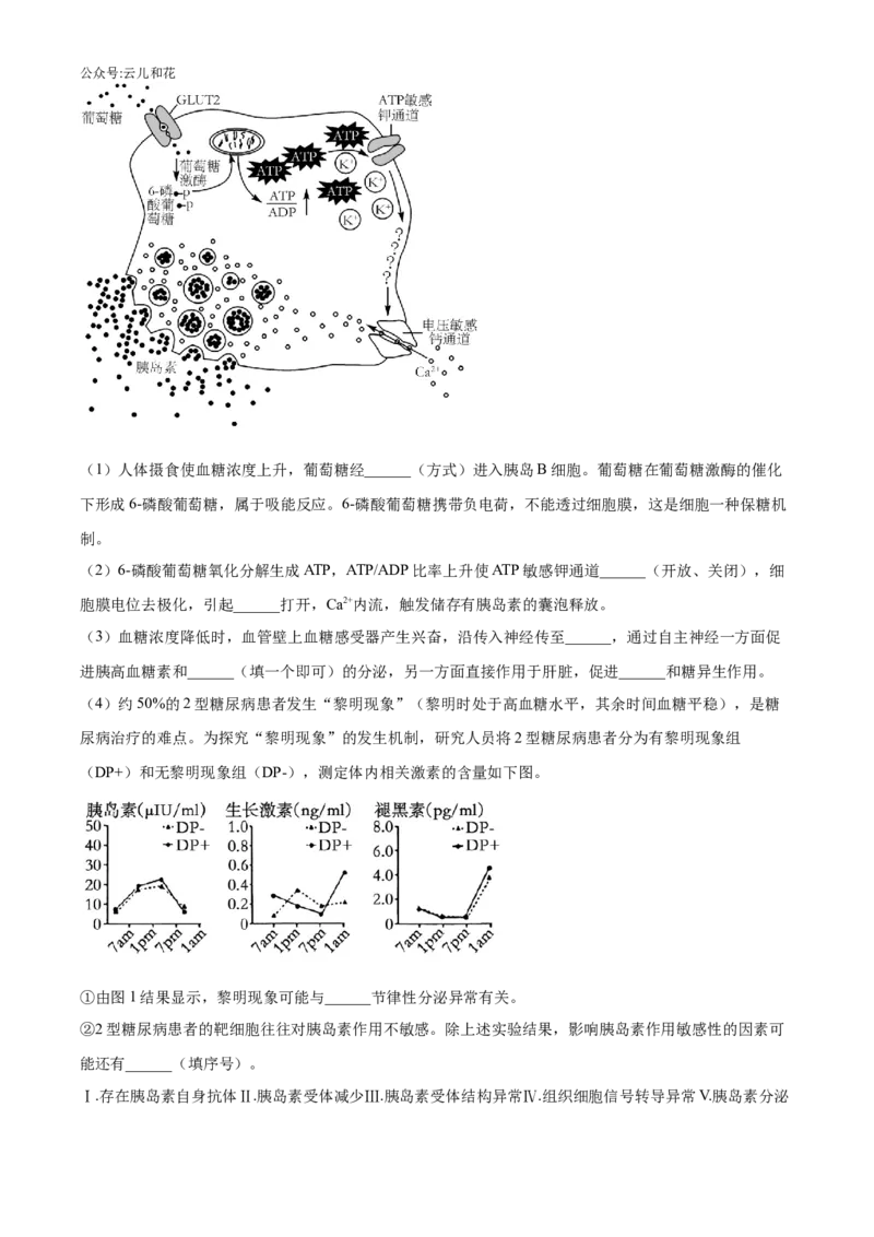 辽宁省沈阳市沈阳市郊联体2024-2025学年高二上学期11月期中生物试题Word版无答案_2024-2025高二（7-7月题库）_2024年11月试卷