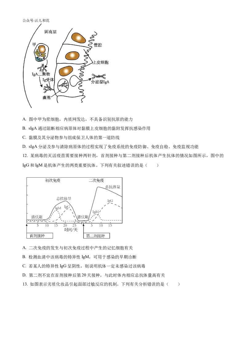 辽宁省沈阳市沈阳市郊联体2024-2025学年高二上学期11月期中生物试题Word版无答案_2024-2025高二（7-7月题库）_2024年11月试卷