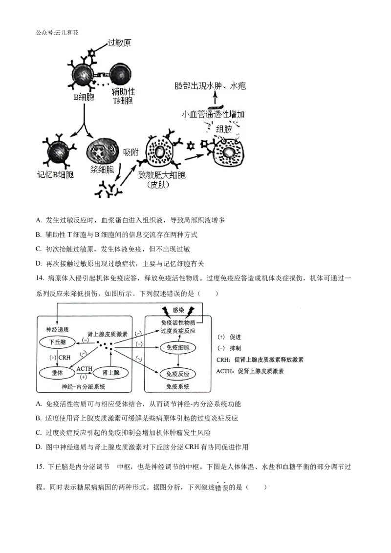 辽宁省沈阳市沈阳市郊联体2024-2025学年高二上学期11月期中生物试题Word版无答案_2024-2025高二（7-7月题库）_2024年11月试卷