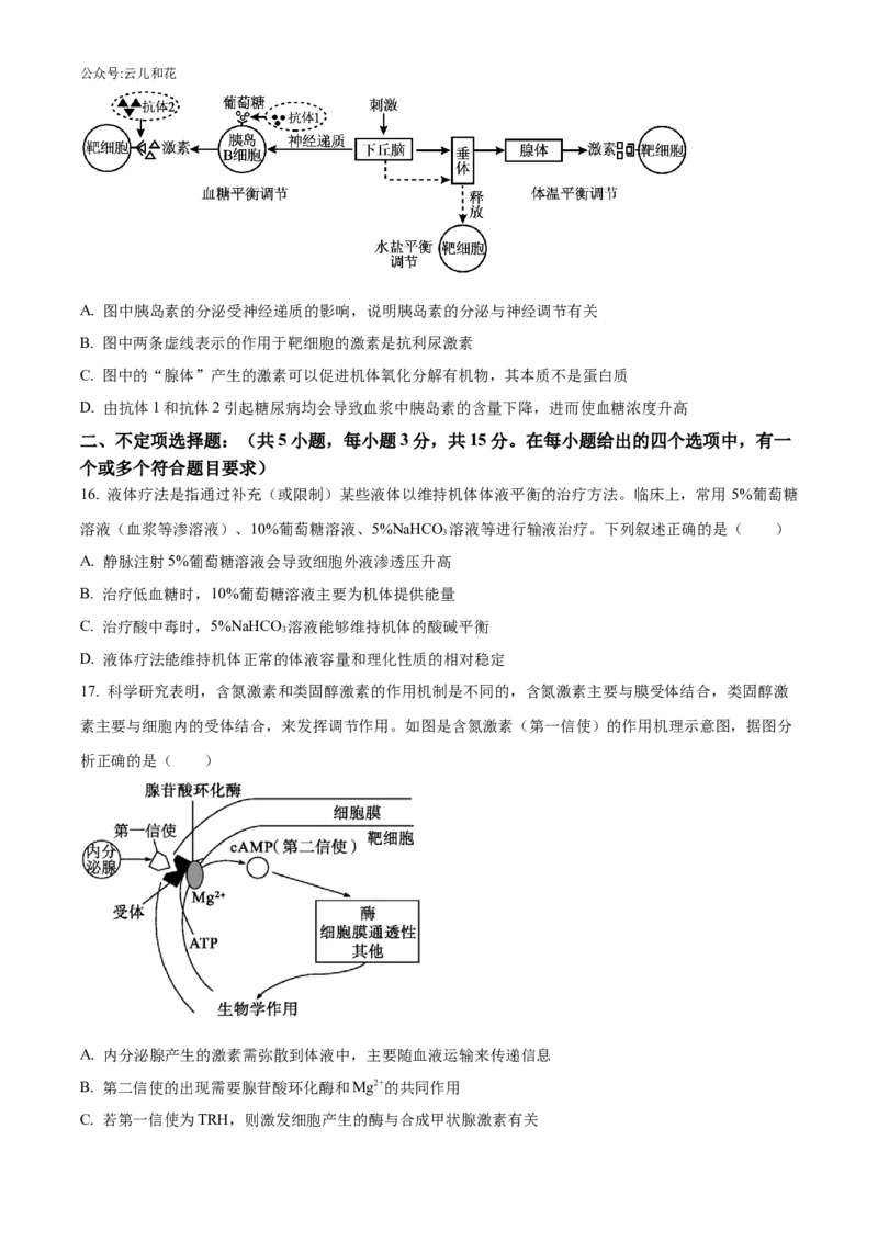 辽宁省沈阳市沈阳市郊联体2024-2025学年高二上学期11月期中生物试题Word版无答案_2024-2025高二（7-7月题库）_2024年11月试卷