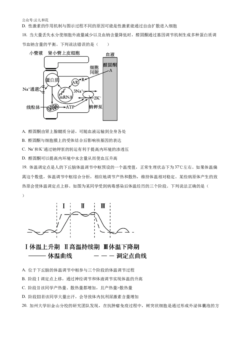 辽宁省沈阳市沈阳市郊联体2024-2025学年高二上学期11月期中生物试题Word版无答案_2024-2025高二（7-7月题库）_2024年11月试卷