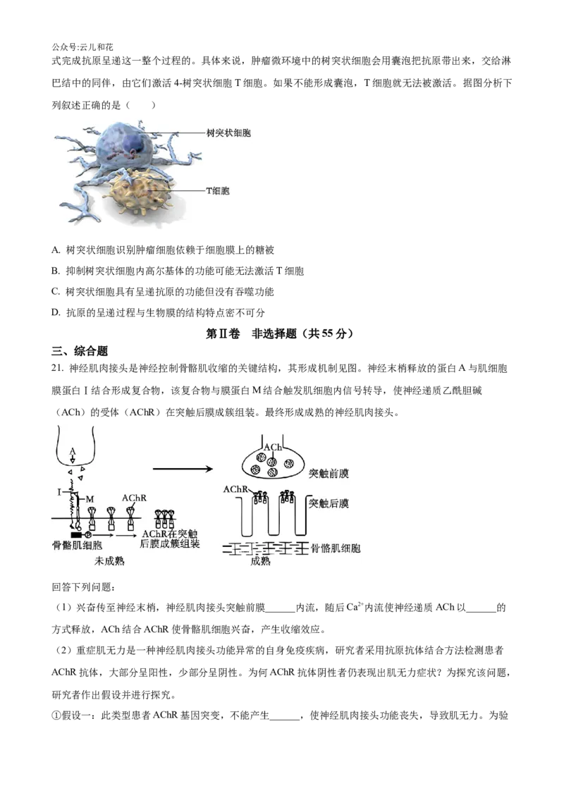 辽宁省沈阳市沈阳市郊联体2024-2025学年高二上学期11月期中生物试题Word版无答案_2024-2025高二（7-7月题库）_2024年11月试卷