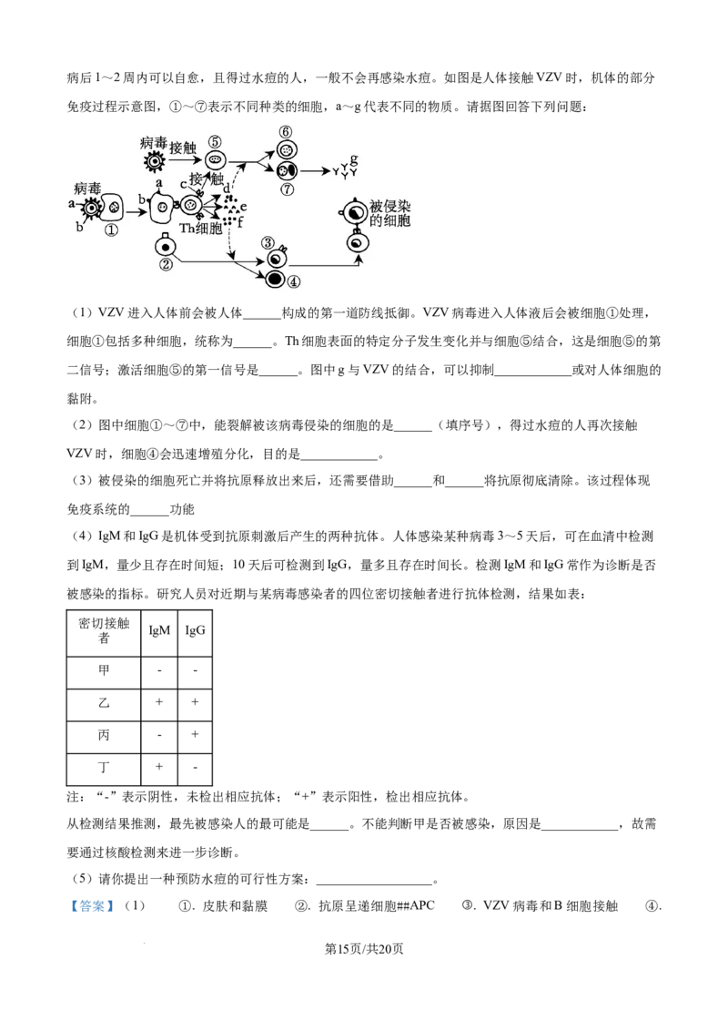 精品解析：天津市河北区天津市第二中学2025-2026学年高二上学期12月月考生物试题（解析版）_2024-2025高二（7-7月题库）_2026年1月高二_260110天津市第二中学2025-2026学年高二上学期12月月考