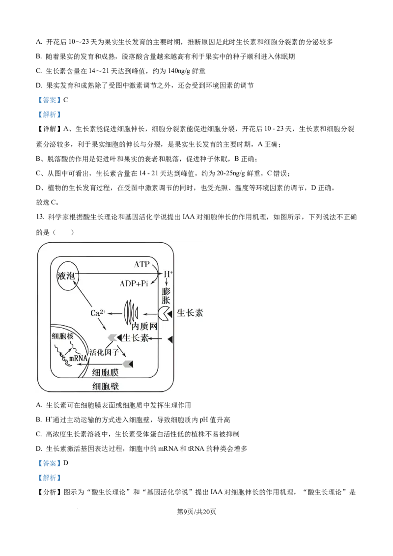 精品解析：天津市河北区天津市第二中学2025-2026学年高二上学期12月月考生物试题（解析版）_2024-2025高二（7-7月题库）_2026年1月高二_260110天津市第二中学2025-2026学年高二上学期12月月考