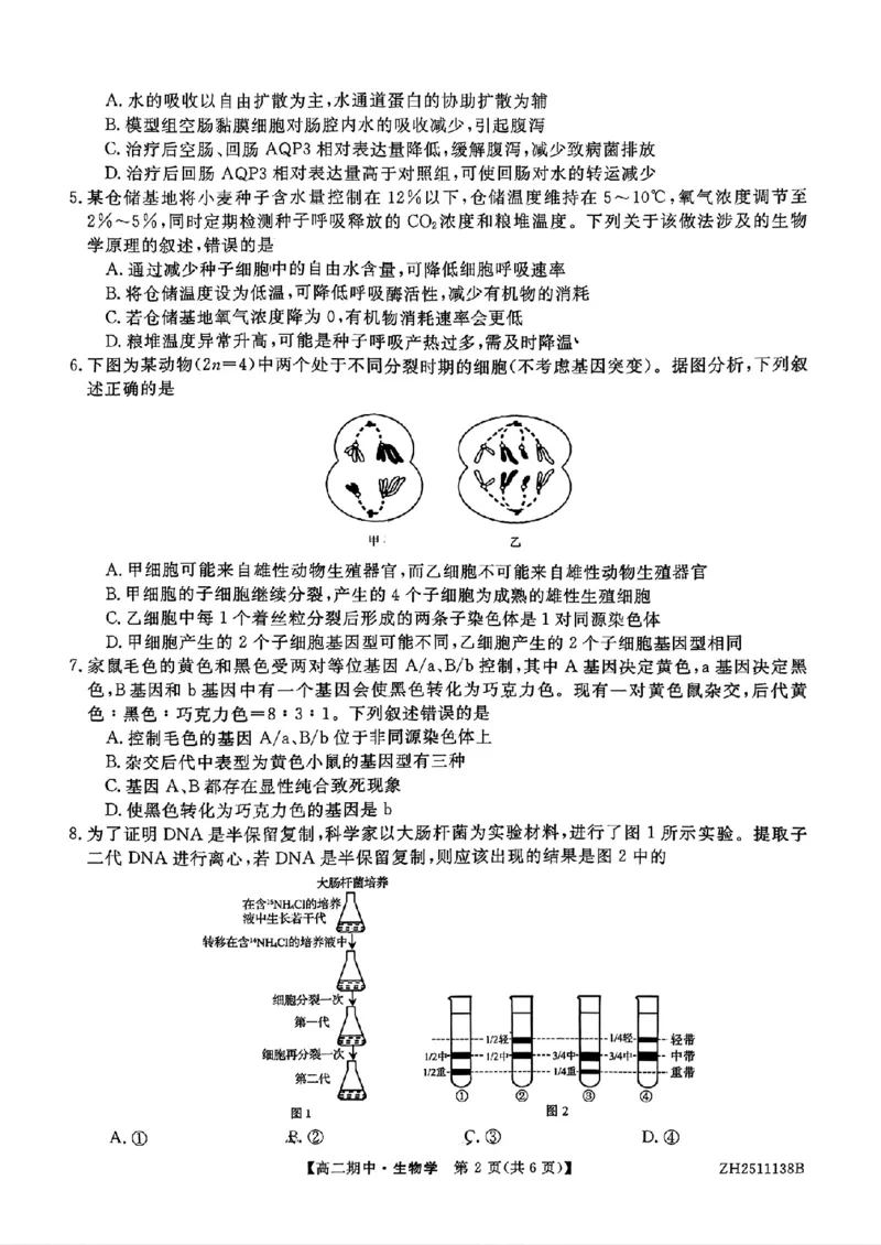 试卷_251210云南省多校2025-2026学年高二上学期期中_云南省多校2025-2026学年高二上学期期中生物试题（PDF版，含解析）