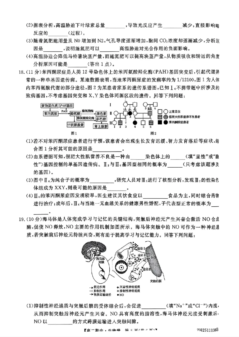 试卷_251210云南省多校2025-2026学年高二上学期期中_云南省多校2025-2026学年高二上学期期中生物试题（PDF版，含解析）