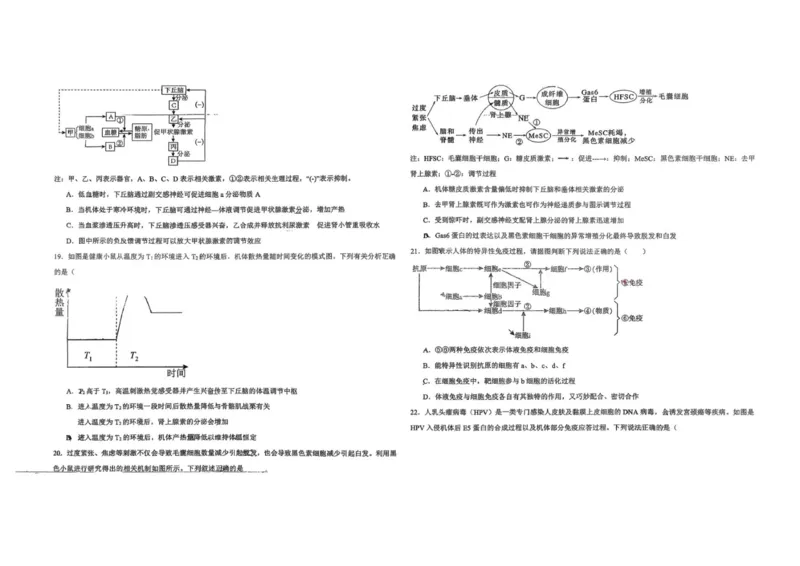高二生物_251213新疆维吾尔自治区喀什地区英吉沙县县多校2025-2026学年高二上学期12月期中（全）
