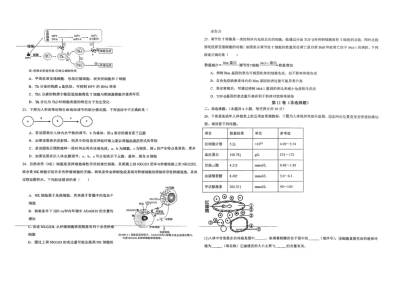 高二生物_251213新疆维吾尔自治区喀什地区英吉沙县县多校2025-2026学年高二上学期12月期中（全）
