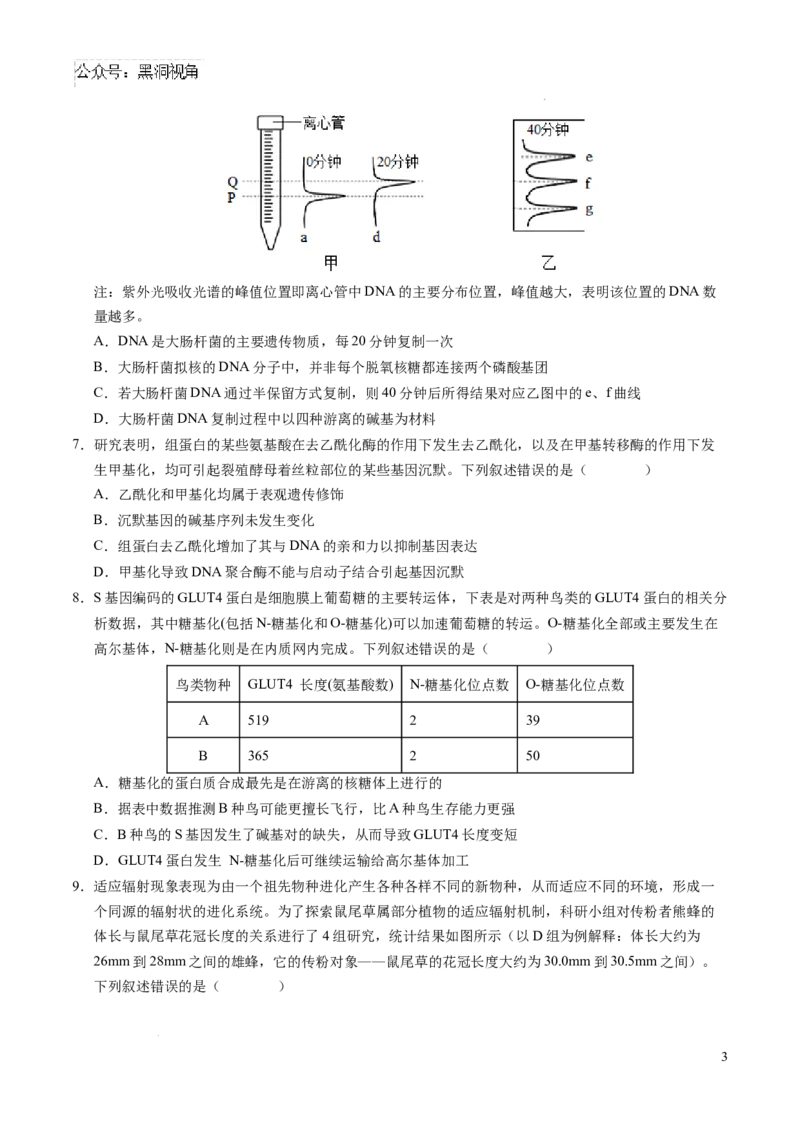 生物考前猜想卷02（考试版A4）_2024-2025高三（6-6月题库）_2024年12月试卷_12072025届&ldquo;八省联考&rdquo;考前猜想卷_生物（16+5）-2025年1月&ldquo;八省联考&rdquo;考前猜想卷