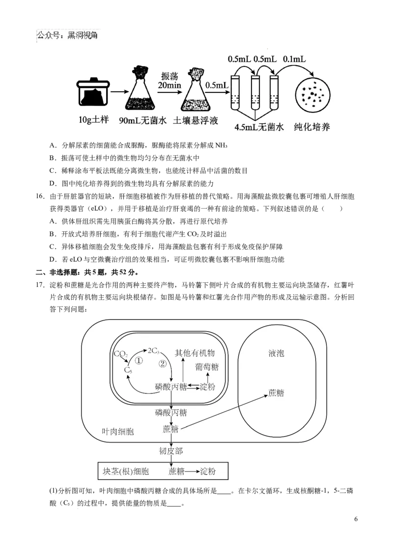 生物考前猜想卷02（考试版A4）_2024-2025高三（6-6月题库）_2024年12月试卷_12072025届&ldquo;八省联考&rdquo;考前猜想卷_生物（16+5）-2025年1月&ldquo;八省联考&rdquo;考前猜想卷