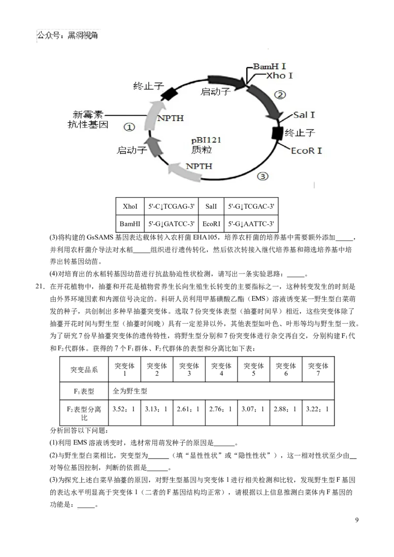 生物考前猜想卷02（考试版A4）_2024-2025高三（6-6月题库）_2024年12月试卷_12072025届&ldquo;八省联考&rdquo;考前猜想卷_生物（16+5）-2025年1月&ldquo;八省联考&rdquo;考前猜想卷
